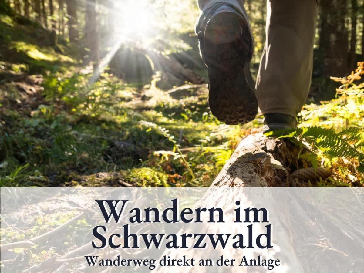 Schonach 66 Mit Indoor-Pool, Sauna, Kueche Und Netflix Schonach im Schwarzwald Exterior foto